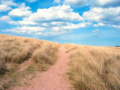 path path