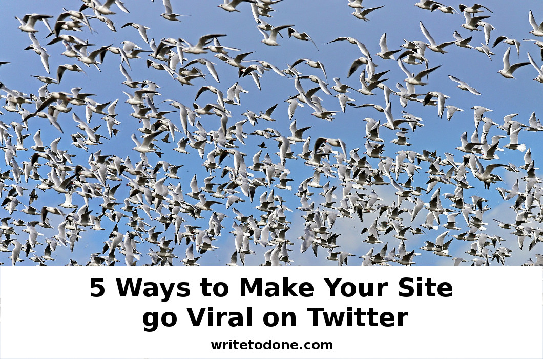 go viral on twitter - flock of birds