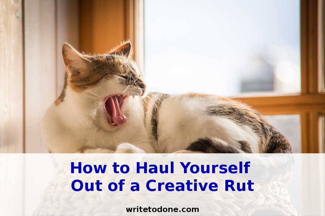creative-rut - cat yawning