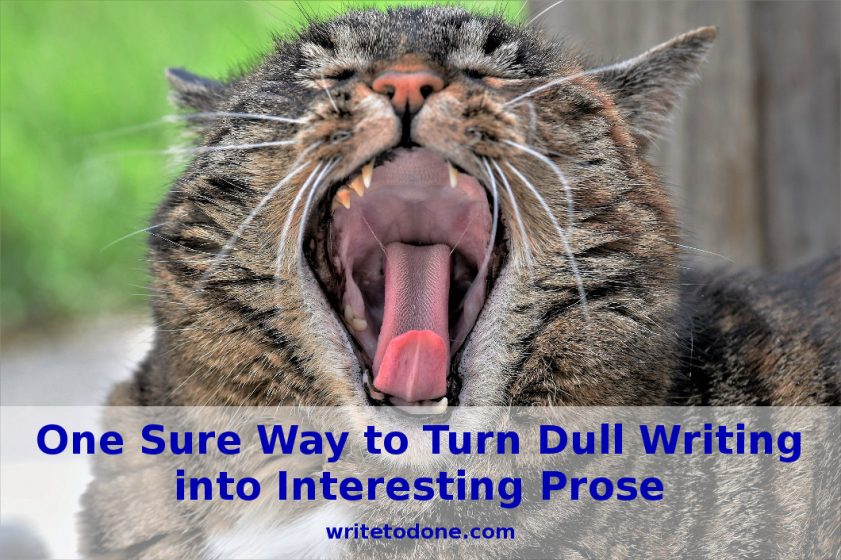 turn dull writing into interesting prose - cat yawning