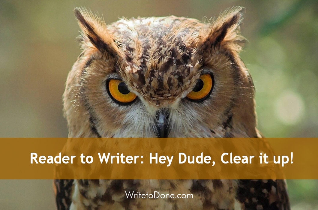 Reader to Writer: Hey Dude, Clear it up!