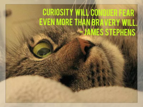 Become confident as a writer 3