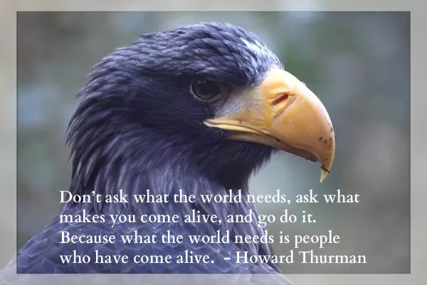 confidence as a writer 14