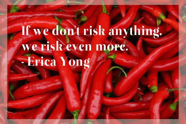 courage to be a writer