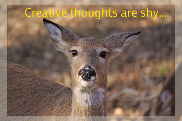 creative thoughts are shy ... let them come to you - Mary Jaksch