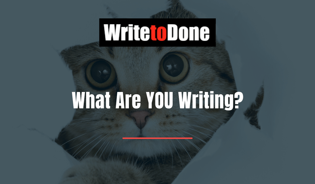 What Are YOU Writing?