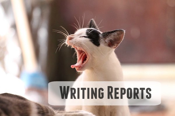writing tips writing reports