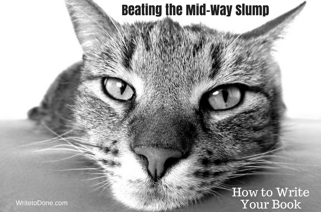 How to Write and Publish Your First Book 2: Beat the Mid-Way Slump