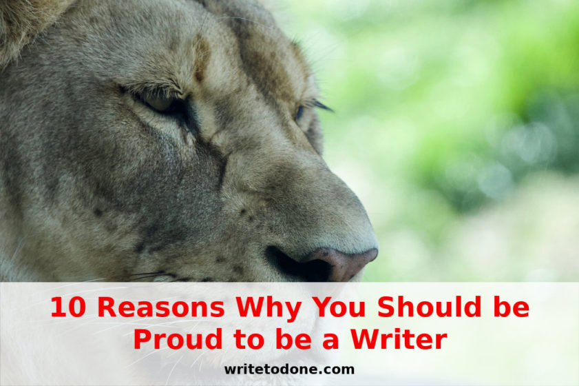 proud to be a writer - lioness