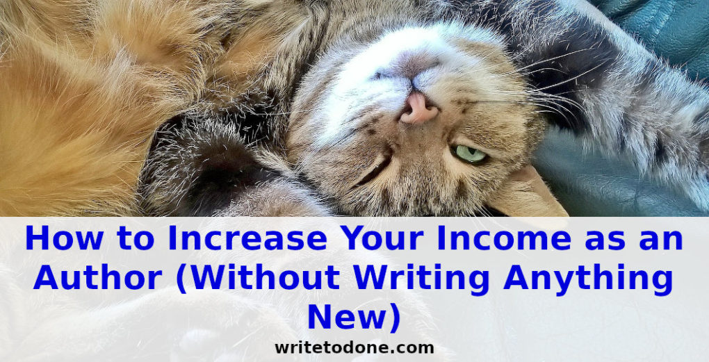 Increase Your Income as an Author - cat
